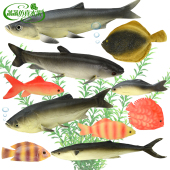 仿真鱼模型假鱼秋刀鱼多宝鱼海洋动物大头鱼草鱼摄影装 饰道具大号