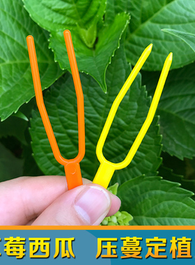 包邮甜瓜西瓜草莓藤蔓压蔓器 压苗叉 固定器 塑料育苗生根定植器