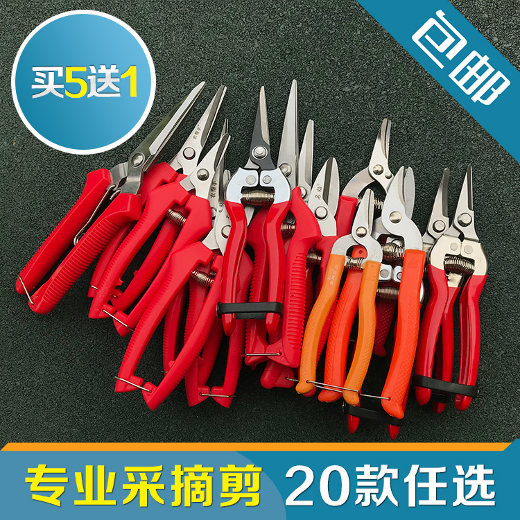 果蔬采摘橘剪剪刀名钻农夫乐