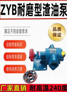 齿轮泵科信高压泵柴油点火泵自吸