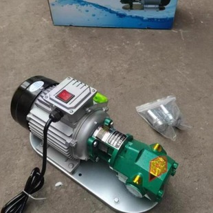 手提齿轮泵WCB 100齿轮油泵220V单项自吸式 柴油泵 便携式