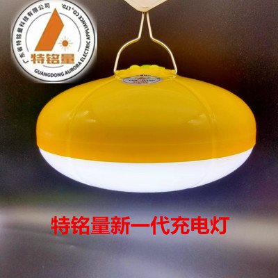 特铭量露营摆摊大面积照明帐篷灯