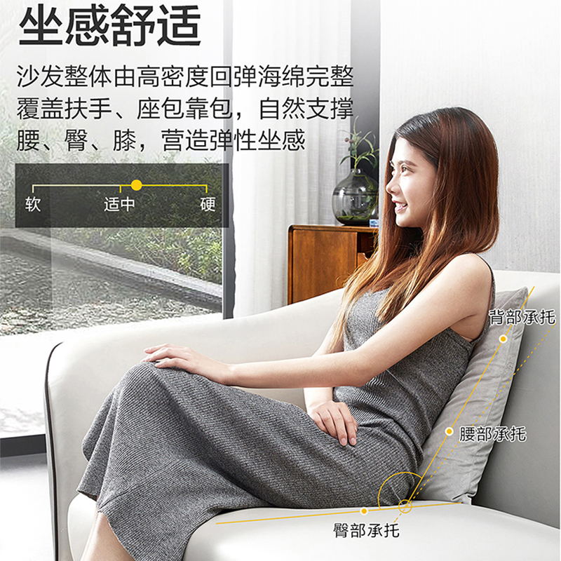 会客休息区接待室办公沙发迪欧