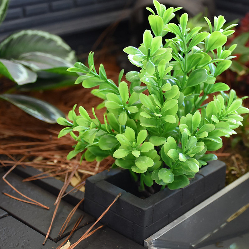 黄缘安缘龟陆龟专用造景装饰半水龟陆龟防止扒土种植花盆