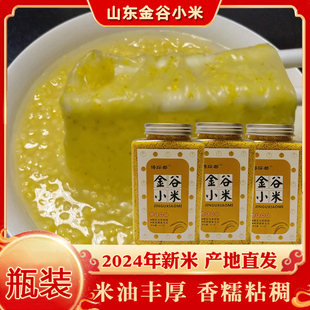 2025新小米山东金乡马庙特产金谷小米杂粮黄小米粥香糯粘稠小黄米