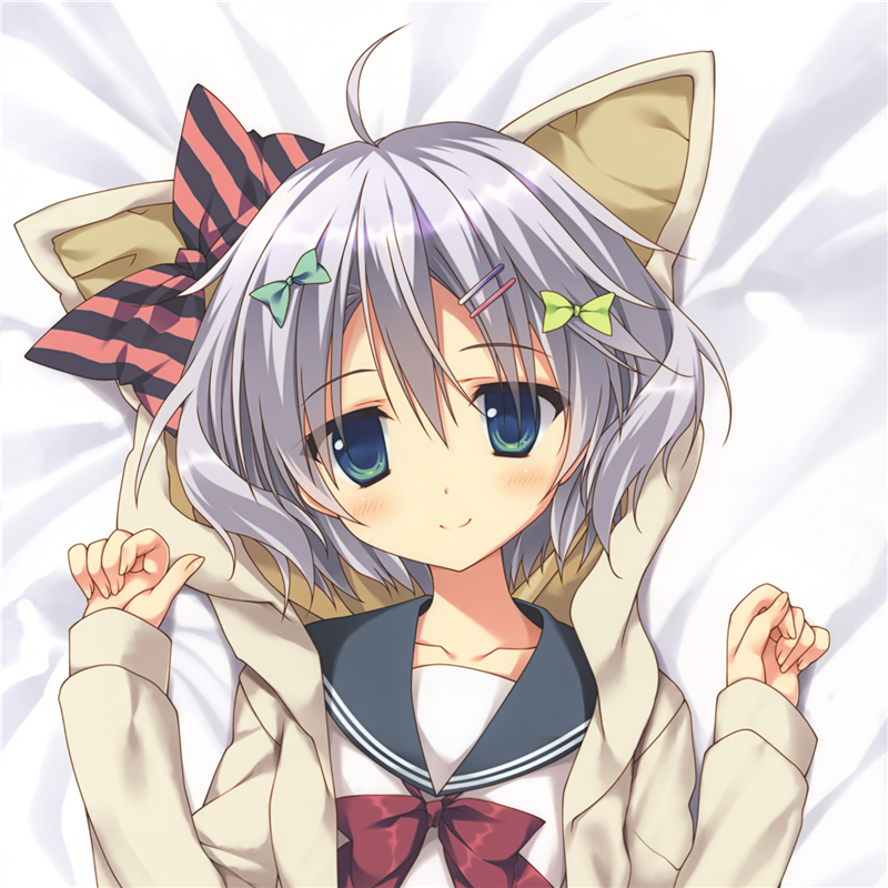 学校のセイイキ 学校的圣域 凤米卡 双面 等身抱枕套定制