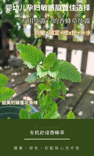 敏感肌抗敏修护饱和纯露祛红血丝