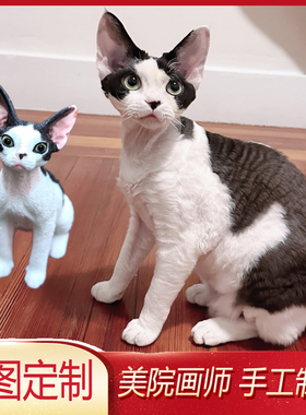 宠物猫咪德文卷毛蓝猫英短布偶狸花摆件定制车载中控装饰手工礼物