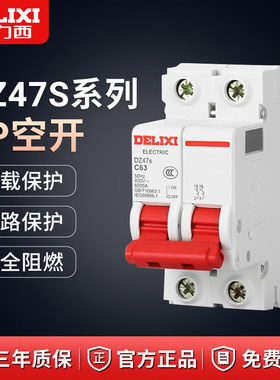 德力西小型断路器家用32A63A电闸