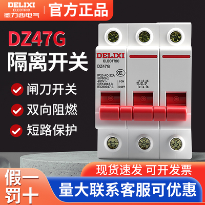 德力西小型DZ47G隔离开关1P2P3P4P 20A-125A模数化总开关