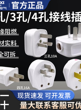 德力西家用三脚插头二脚四脚10A/16A/25A电源接线插头 CD98-TSTZ