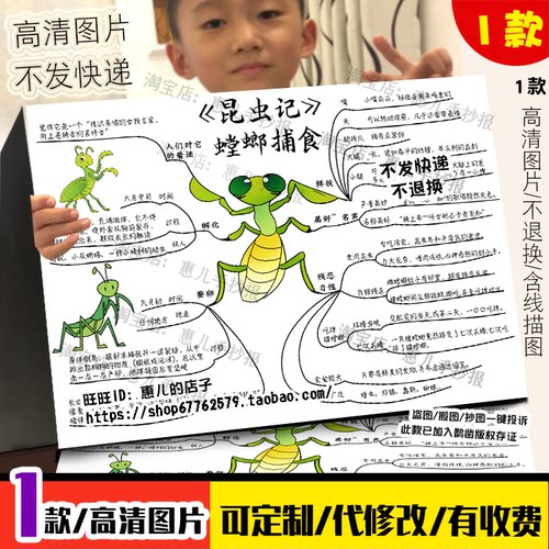 昆虫记螳螂捕食思维导图手抄报螳螂介绍电子小报模版线稿涂色