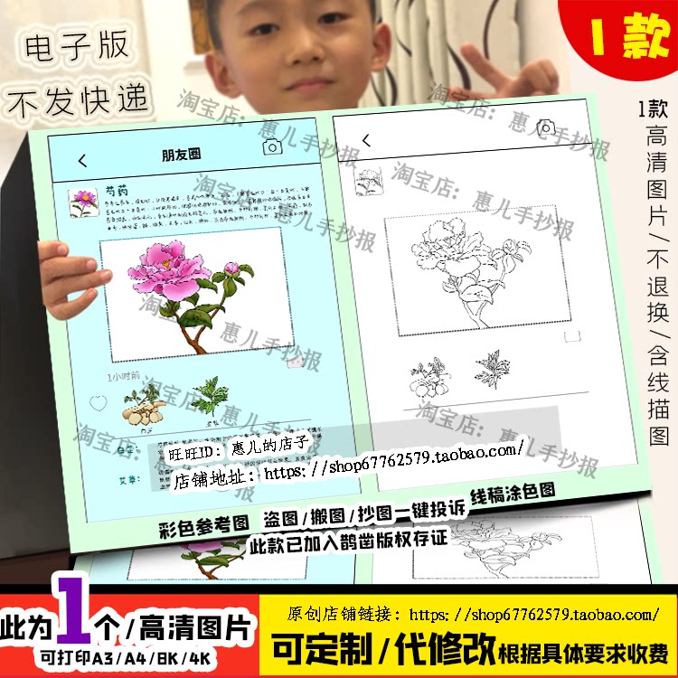中草药朋友圈芍药白芷艾草手抄报本草纲目电子版小报线稿涂色