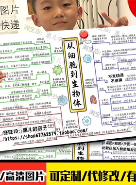 从细胞到生物体思维导图手抄报七年级上册一单元第三章动植物小报