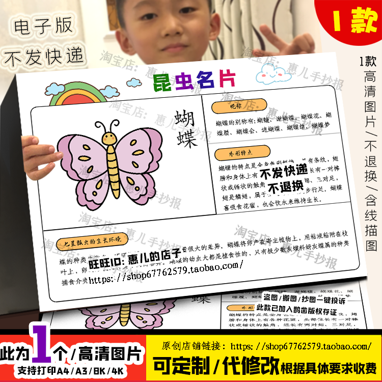 蝴蝶昆虫名片手抄报昆虫观察记录昆虫自然笔记电子版小报线稿涂色