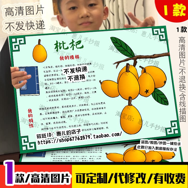 枇杷植物名片手抄报中药传统文化植物观察日记本草纲目电子小报