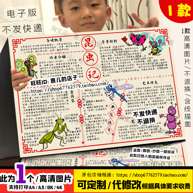 昆虫记手抄报寒暑假初中必读书卡好书推荐昆虫分类电子版小报线稿