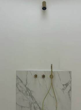 预埋式淋浴器设计师款式定制颜色