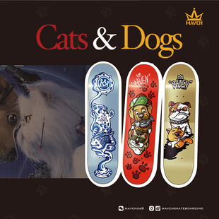 Maven专业双翘滑板 初学者男女生成人滑板板面-送砂纸-Cats&Dogs