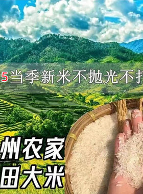 2025新米贵州特产农家高山梯田平坝本地长粒香大米不抛光打蜡包邮