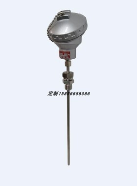 J型铠装热电偶WRFK-231/WRFK-221/WRFK2-231/WRFK2-221温度传感器