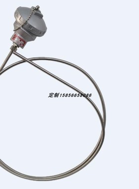 双支铠装热电偶WRNK-11/WREK-11、WRNK2-11/WREK2-11固定贴片螺纹