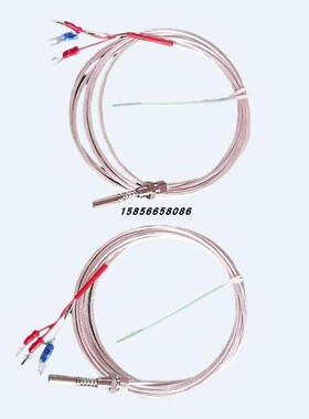 端面热电阻汽轮机用WZCM/WZPM-201/A级B级PT100WZP035T温度传感器