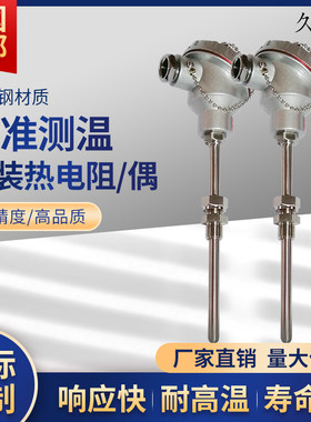 铠装热电阻防爆WZPK-PT100温度传感器PT1000型WZPK2双支铂电阻A级
