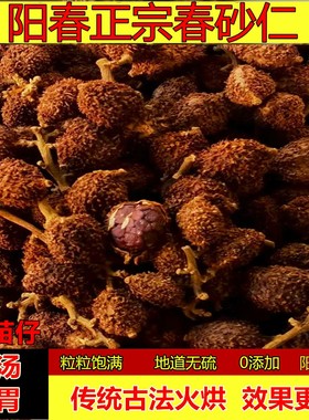 阳春正宗特产春砂仁特级精选黄苗仔传统火焙砂仁养胃健脾煲汤药材