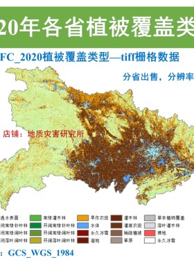 中国30m分辨率植被覆盖类型分布栅格数据Arcgis2020年植被类型