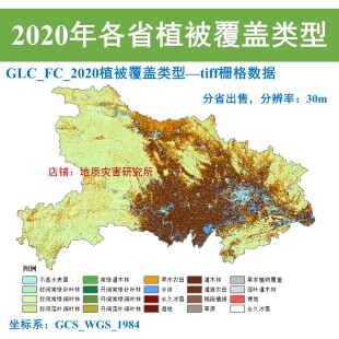 中国30m分辨率植被覆盖类型分布栅格数据Arcgis2020年植被类型