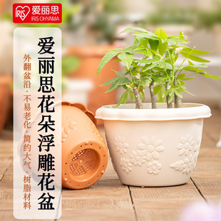 爱丽丝花盆中钵加仑植物控根创意绿萝多肉兰花塑料树脂爱丽思盆