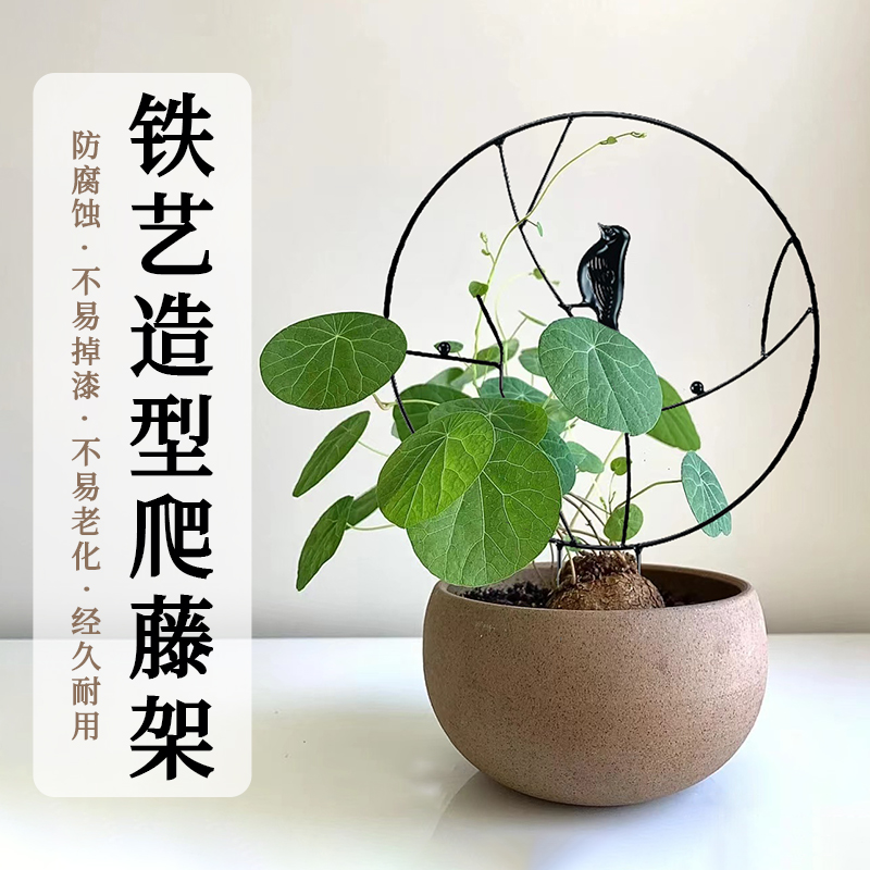 植物定型铁艺山乌龟爬藤用