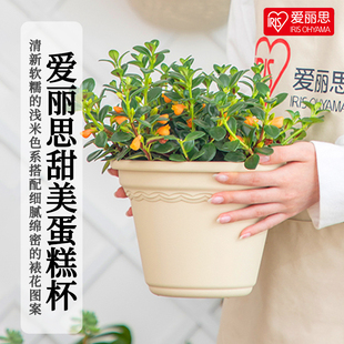 爱丽思蛋糕杯大口径月季 绣球绿萝花盆爱丽丝园艺树脂浮雕加厚花盆