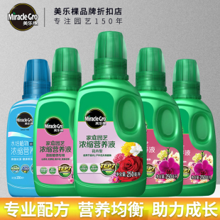美乐棵植物营养液通用型花肥家用盆栽花卉多肉月季 肥料绿萝绿植