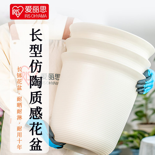 爱丽丝日系树脂加厚耐用