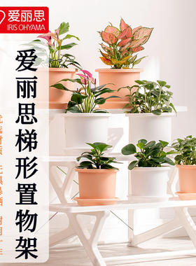 爱丽丝塑料花架爱丽思树脂置物架室内客厅阳台多层多肉绿萝架包邮