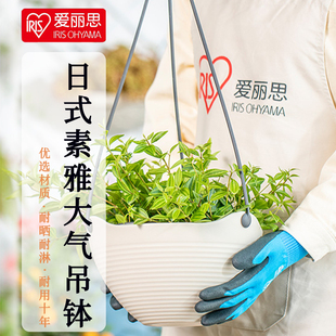 爱丽思吊兰盆盆树脂塑料多肉绿萝植物垂吊简约户外庭院爱丽丝花盆