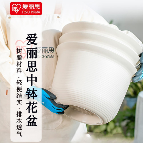 爱丽丝日式简约塑料中钵花盆