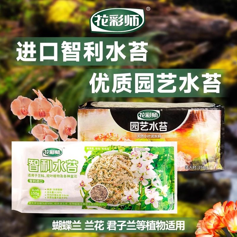 花彩师水苔无菌干水苔