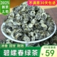 云南绿茶碧螺春绿茶2025年新茶特级浓香型明前碧螺春茶叶500g散装