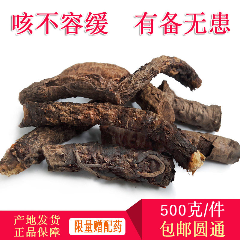 峨眉山特产药材岩白菜素根茎红岩七岩壁呆石白菜新食用干货包邮