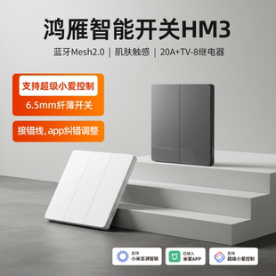 鸿雁超薄肤感璃款 蓝牙mesh2.0语音手机远程智能开关已接入米家APP