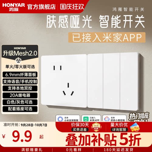 鸿雁已接入米家AP语音智能开关