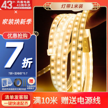 鸿雁照明led灯带 家用客厅吊顶高亮贴片防水软灯带条装饰浪漫创意