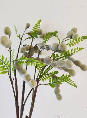 靓豆室内中国插花枝毛色娟1