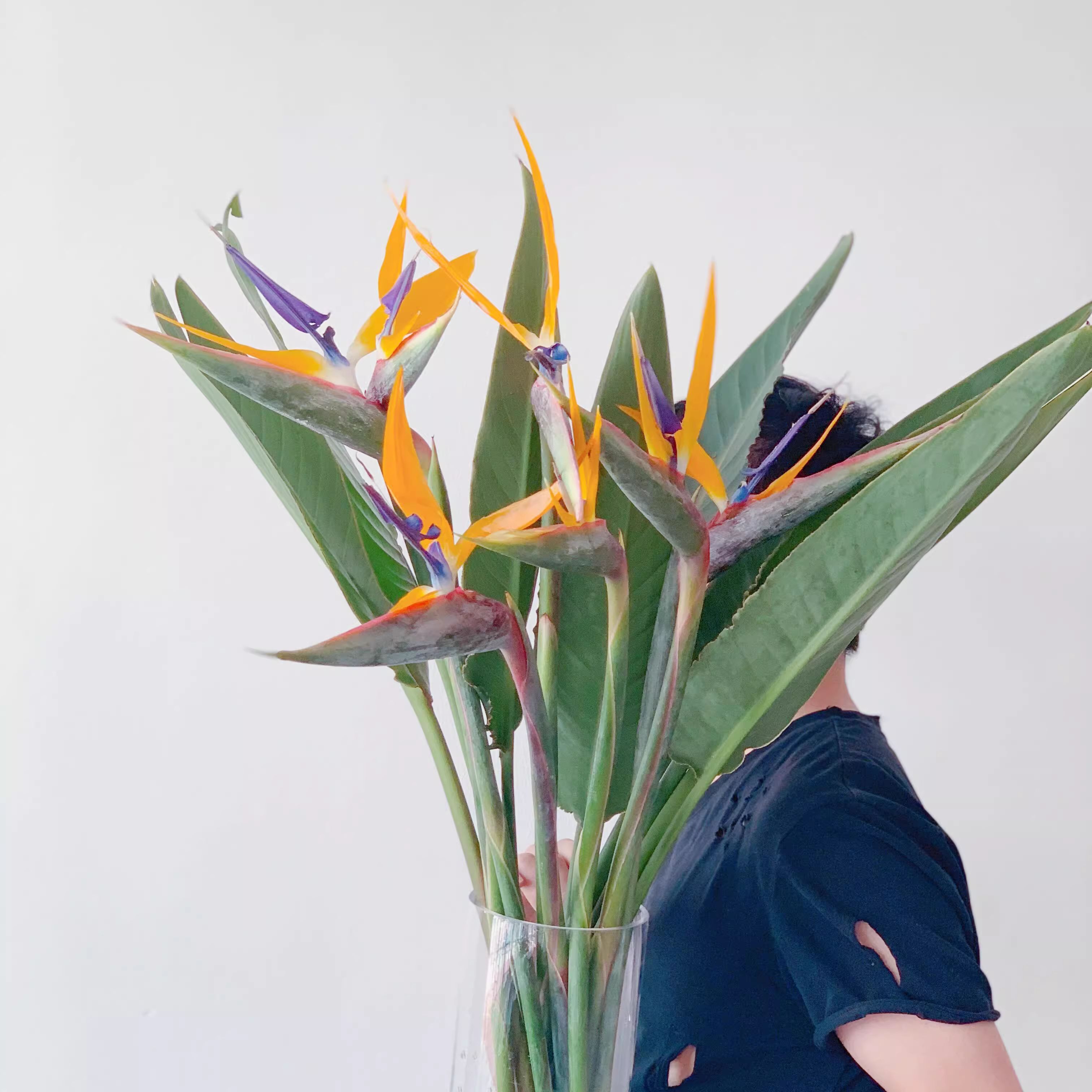 靓靓叶插花中国叶一支绿色手感1