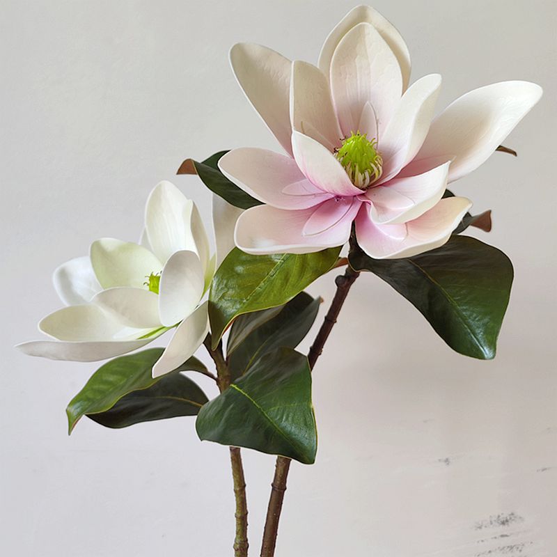 高仿真玉兰花室内简约摆放插花花艺单只手感广玉兰中式道具花材