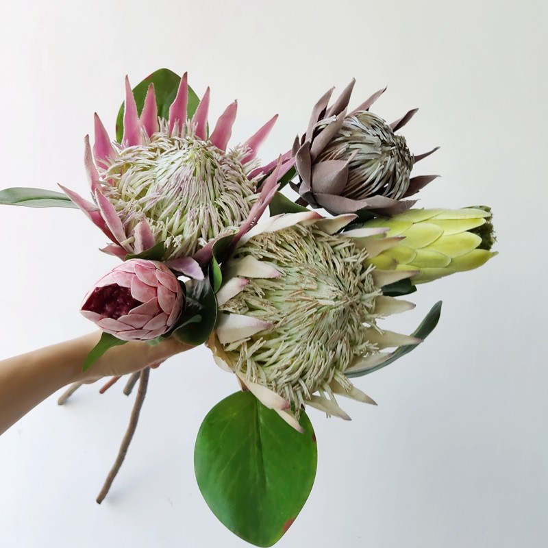 精仿网红帝王花仿真花diydiy材料图片