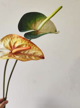 软装配材EVA大红掌手感火鹤掌仿真花大荷叶海芋南美生态绿植装饰